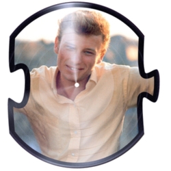 Johnny Hallyday The Vogue Years Vol 2 LIMITED CUSTOM-SHAPED 12INCH PICTURE DISC