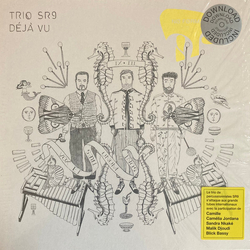 Trio Sr9 Deja Vu VINYL LP + MP3 DOWNLOAD CODE