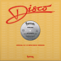 Voilaaa On Te L'Avait Dit/Spies Are Watching Me REMIXES VINYL 12INCH