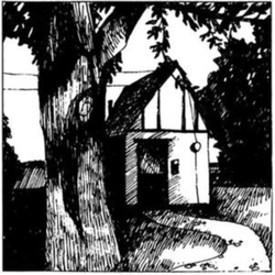 Naomi Lewis Cottage Songs REISSUE LIMITED LP + BOOKLET