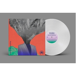 Everything Everything Mountainhead LIMITED CLEAR VINYL LP