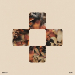 Branko Soma VINYL LP