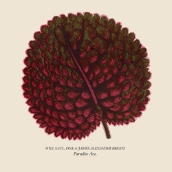 Will/Fink/James Alexander Bright Saul Paradise Ave RED & BLACK MARBLED VINYL 12INCH