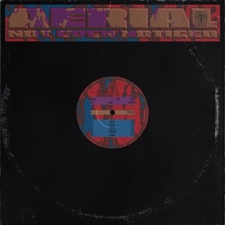 Not Even Noticed Aerial VINYL 12INCH