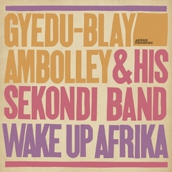 Gyedu Blay Ambolley Wake Up Afrika VINYL LP