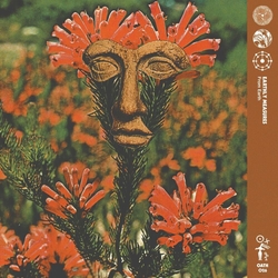 Earthly Measures From Earth VINYL 12INCH