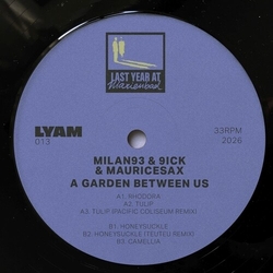 Milan93/9Ick/Mauricesax A Garden Between Us VINYL 12INCH
