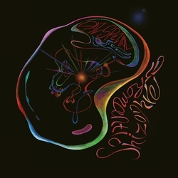 Das Spezial Romantic Schizophremic VINYL 12INCH