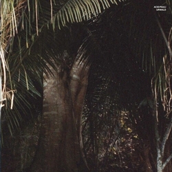 Acid Pauli Urwald VINYL 12INCH