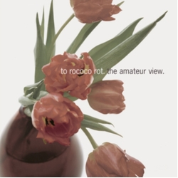 To Rococo Rot The Amateur View EXPANDED EDITION REMASTERED LIMITED HAND-NUMBERED 2LP + INSERTS