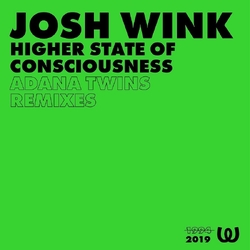 Josh Wink Higher State Of Consciousness ADANA TWINS REMIXES VINYL 12INCH