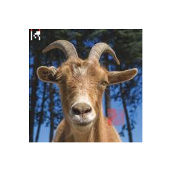 Agoria Dev VINYL 2LP + MP3 DOWNLOAD CODE