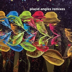 Placid Angles Touch The Earth Remixes VINYL 2LP