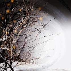 Winterlight Winterlight VINYL 2LP