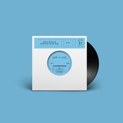 Idjut Boys/Minjung Kate Kim Wtf: Further Adventures Of The Wtf Band VINYL 7INCH