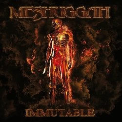 Meshuggah Immutable LIMITED MARBLED VINYL 2x LP + POSTER
