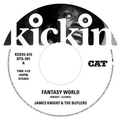 James & The Butlers Knight Fantasy World LIMITED 7INCH