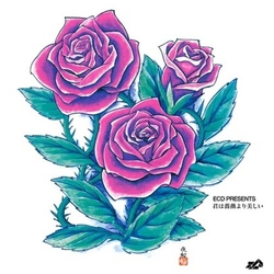 Ecd Kimi Wa Barayori Utsukushii TRANSLUCENT RED VINYL 12INCH
