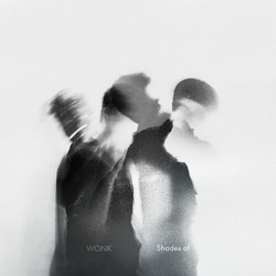Wonk Shades Of VINYL 2LP
