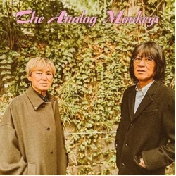 The Analog Monkeys Blowin' Up!! VINYL 7INCH