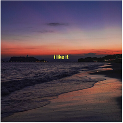 Jp The Wavy I Like It VINYL 7INCH