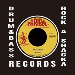 Pat & Roxie/The Mighty Vikings Way Of Fortune VINYL 7INCH