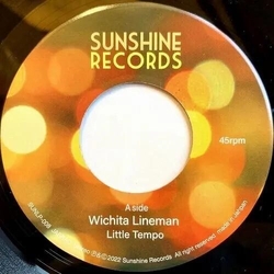 Little Tempo Wichita Lineman VINYL 7INCH