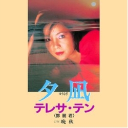 Teresa Teng Yuunagi VINYL 7INCH