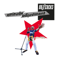 Buzzcocks Attitude Adjustment VINYL LP