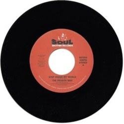 The Reason Why Step Inside My World LIMITED 7INCH