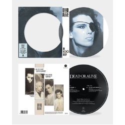 Dead Or Alive In Too Deep 40TH ANNIVERSARY EDITION LIMITED 7INCH PICTURE DISC IN DIE-CUT SLEEVE