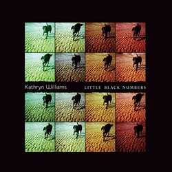 Kathryn Williams Little Black Numbers RECORD STORE DAY 2017 LIMITED 180GM VINYL LP + MP3 DOWNLOAD CODE