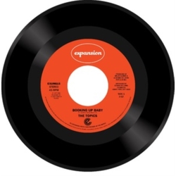 The Topics Booking Up Baby VINYL 7INCH