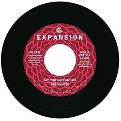 Breakwater Say You Love Me Girl VINYL 7INCH