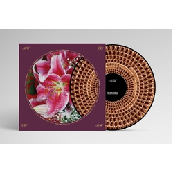 Richard Hawley Coles Corner 20TH ANNIVERSARY EDITION LIMITED ZOETROPE PICTURE DISC LP IN DIE-CUT SLEEVE