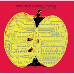 Spectrum & Silver Apples A Lake Of Teardrops SILVER VINYL LP