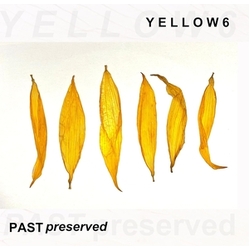 Yellow6 Past Preserved YELLOW VINYL LP