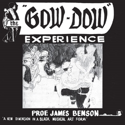 Prof James Benson The Gow Dow Experience LIMITED NUMBERED 180GM VINYL LP + MP3 DOWNLOAD CODE