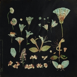 Leaving Laurel When The Quiet Comes CREAM VINYL 2LP