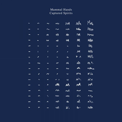 Mammal Hands Captured Spirits VINYL 2LP