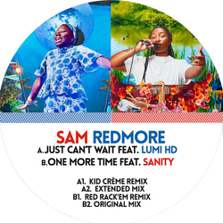 Sam Redmore Just Can'T Wait VINYL 12INCH