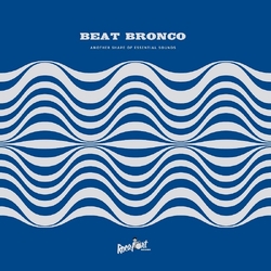Beat Bronco Organ Trio Another Shape Of Essential Sounds VINYL LP + MP3 DOWNLOAD CODE