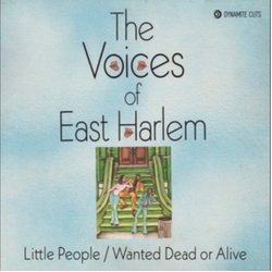 The Voices Of East Harlem Wanted Dead Or Alive LIMITED 7INCH