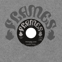 Nairobi Sisters Promised Land VINYL 7INCH