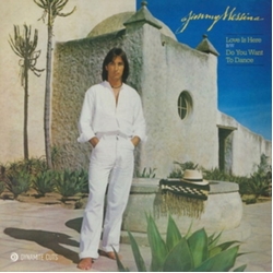 Jimmy Messina Love Is Here VINYL 7INCH