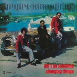 Gregory James Edition Ain'T No Sunshine REISSUE VINYL 7INCH