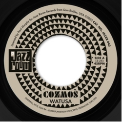 Cozmos Watusa VINYL 7INCH