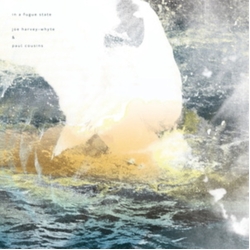 Joe/Paul Cousins Harvey Whyte In A Fugue State VINYL LP