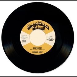 Horace Andy Down Here VINYL 7INCH