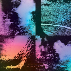 Luke Abbott Wysing Forest VINYL LP + MP3 DOWNLOAD CODE